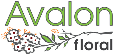 Avalon Floral Eau Claire Logo