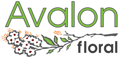 Avalon Logo