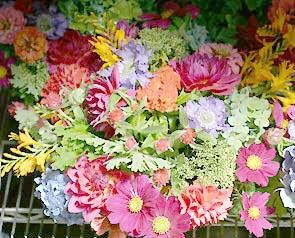 Avalon european floral products Avalon european floral products