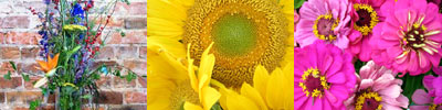 Avalon Floral Seasonal Mix Flowers Eau Claire WI